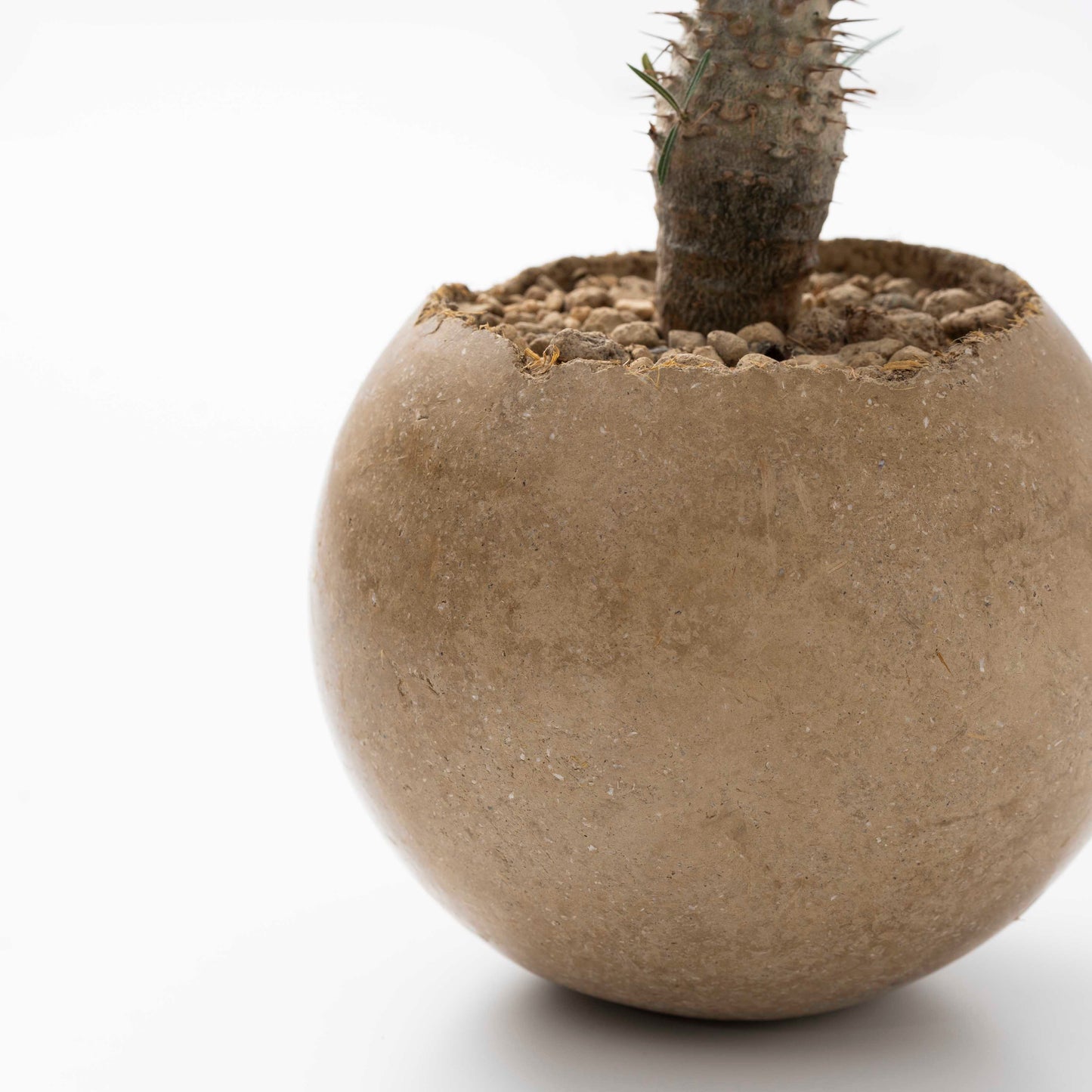 Soil Pot
