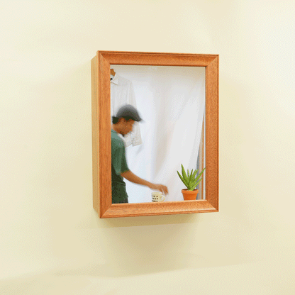 Mirror Cabinet